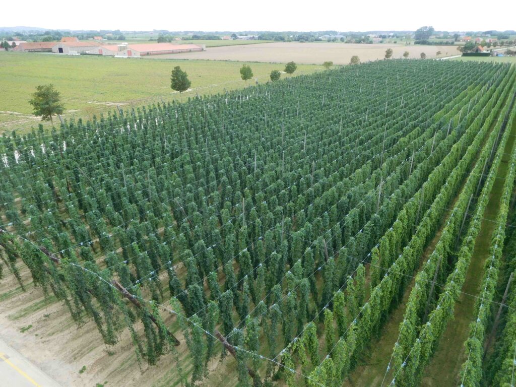 Sint Bernardus hoptuin