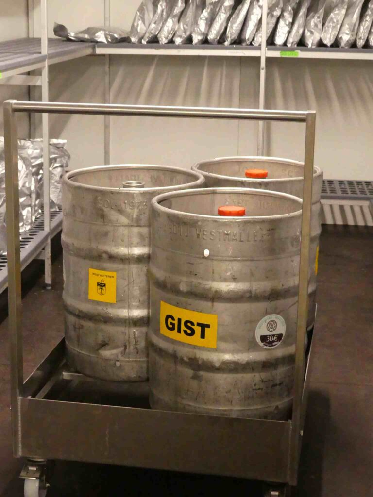 Westvleteren gist